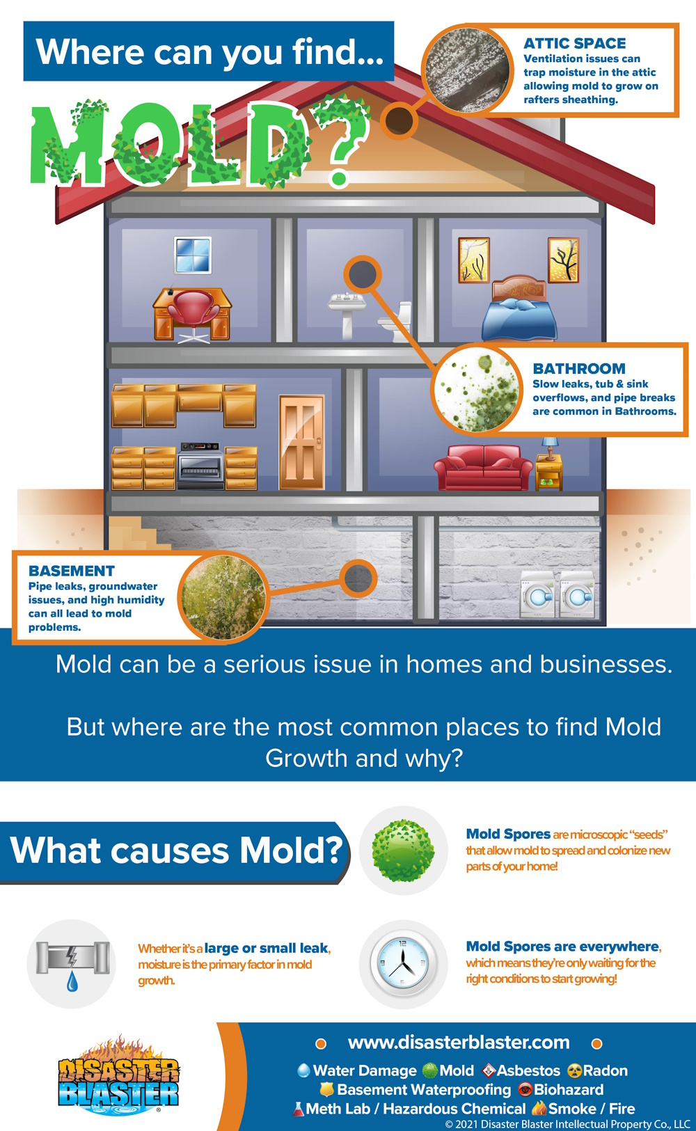 Where can you find Mold in homes?