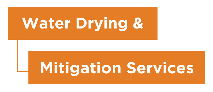 water drying and mitigation service