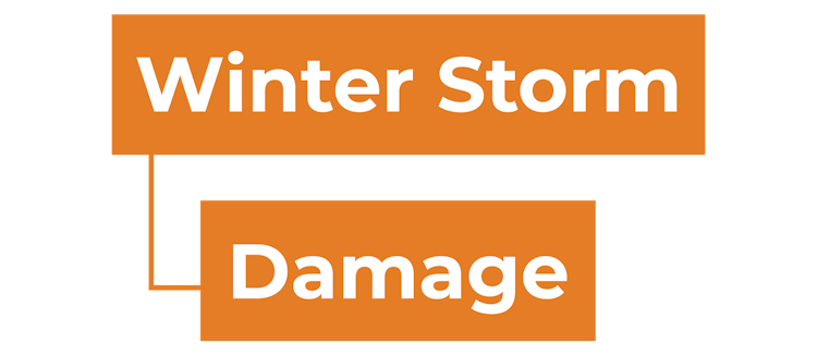 winter storm damage service