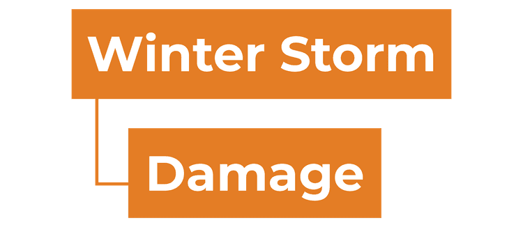 winter storm damage service