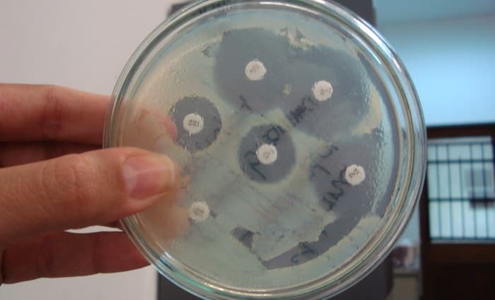 Mold Testing