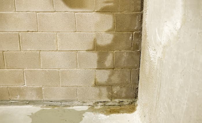 Wet Foundation
