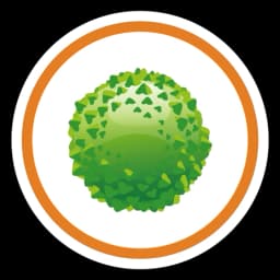 When there is a Mold issue Icon
