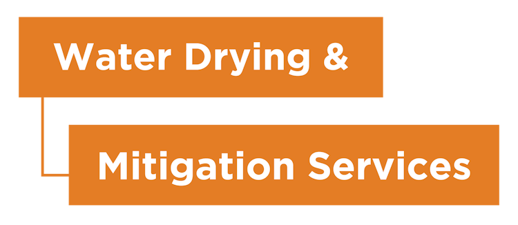 water drying and mitigation service