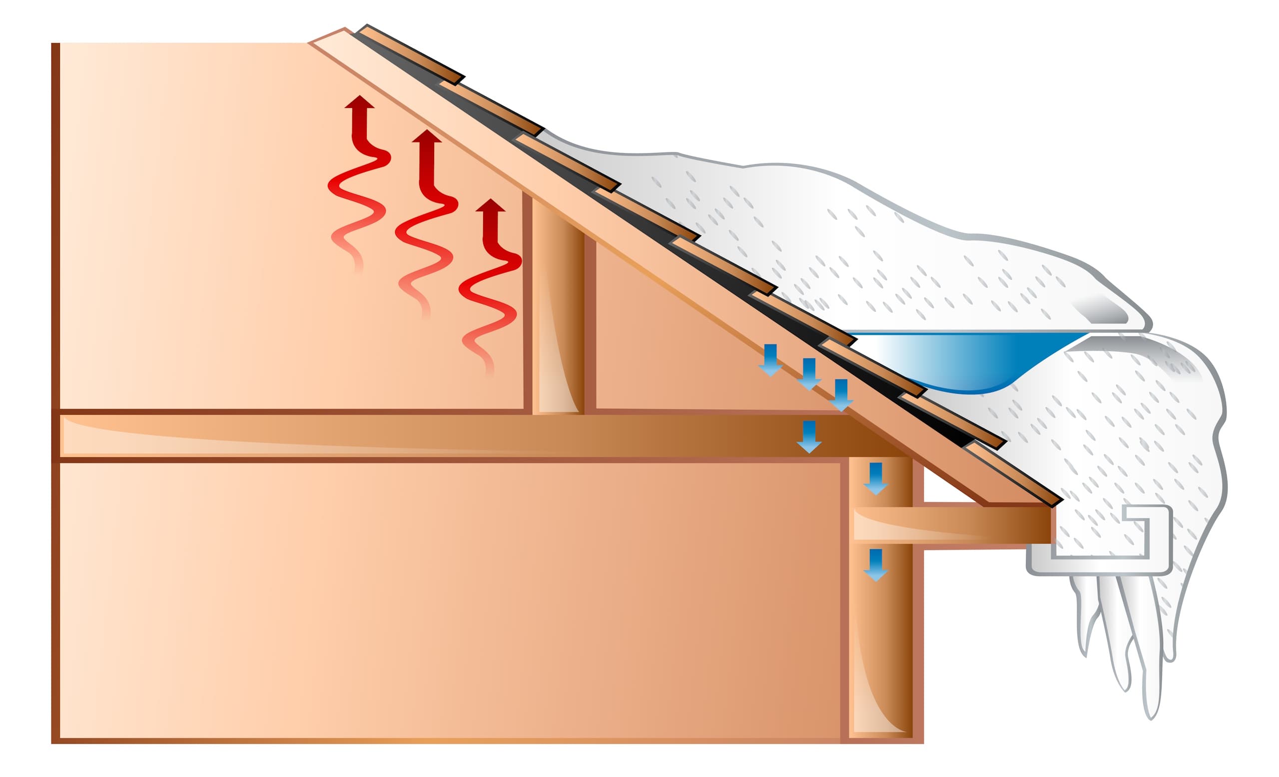 Ice Dam Diagram / Ice Dam Graphic / What is an ice dam / ice dam prevention / ice dam / roof leak / winter / snow / roof / Disaster Blaster / Disaster Blaster Infographic / Ice Dam Infographic