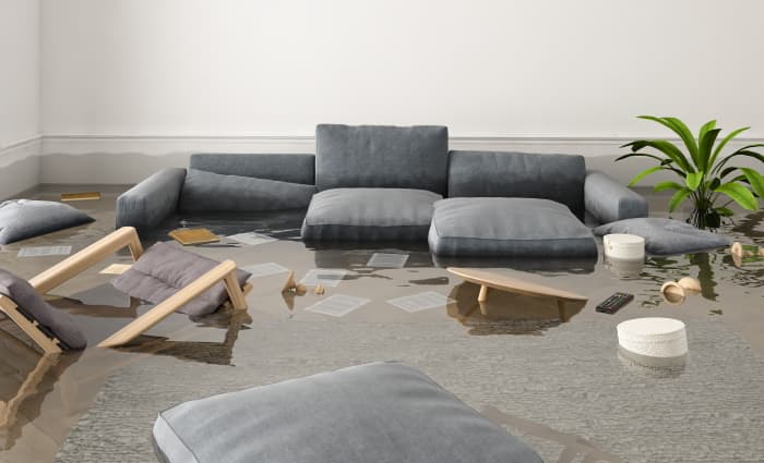 Flooded Basement