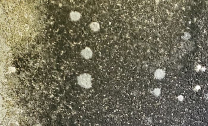 Mold