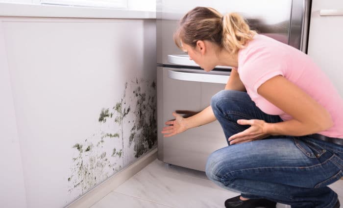 Woman discovers mold