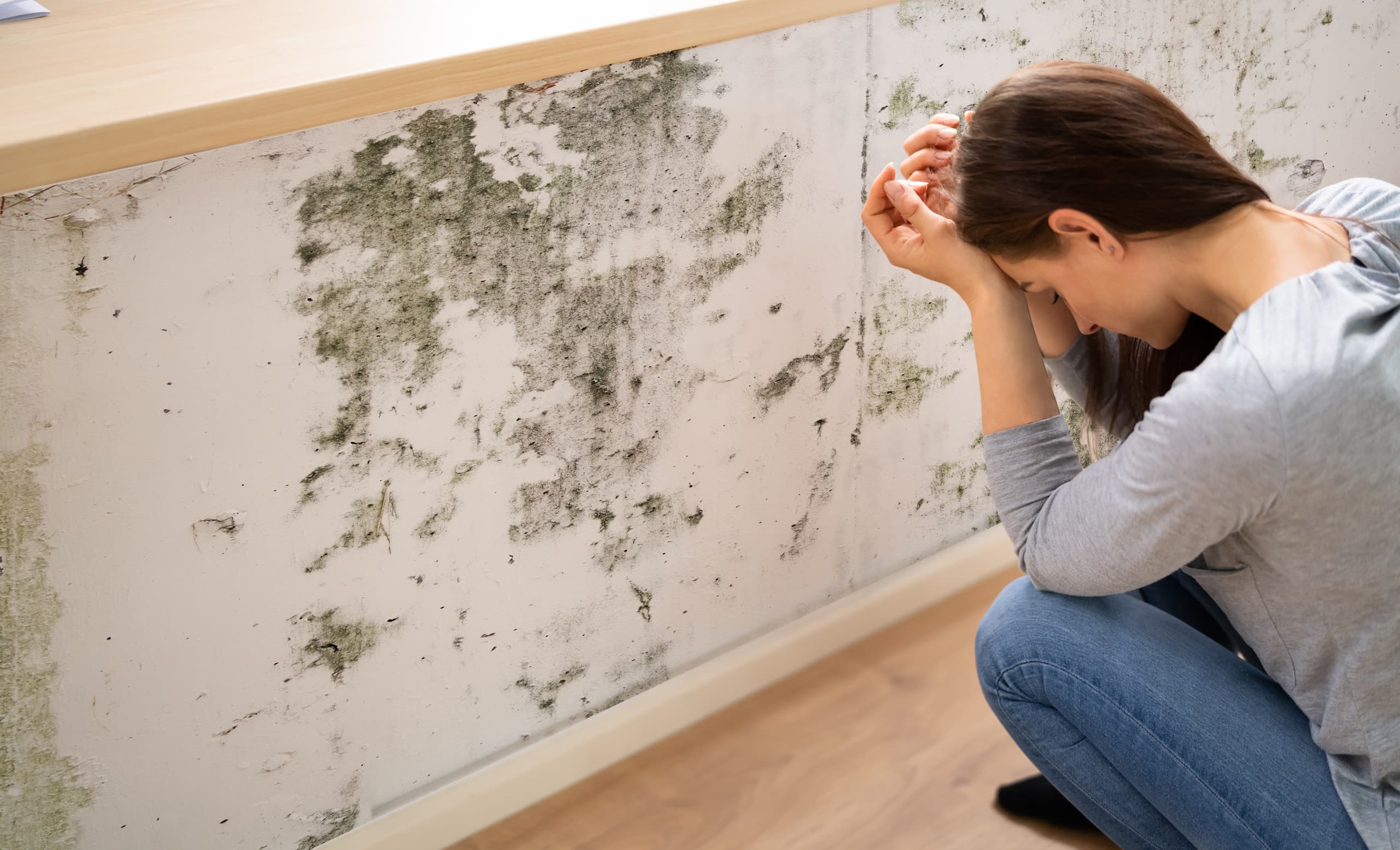 Homeowner discovers mold in house / mold on wall / woman finds mold