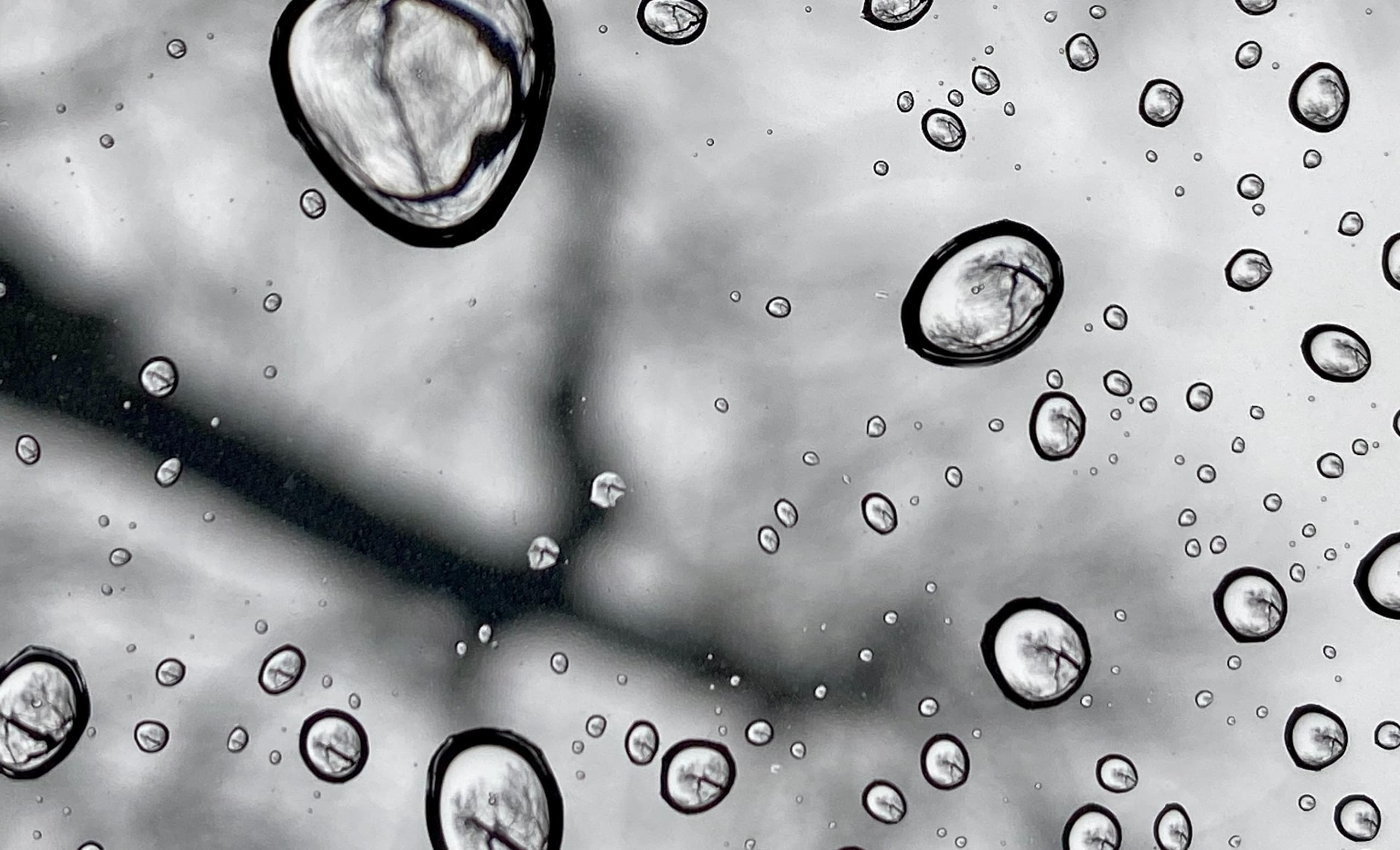 Humidity, Moisture Damage, Water Damage, Humidity Moisture Damage in Home