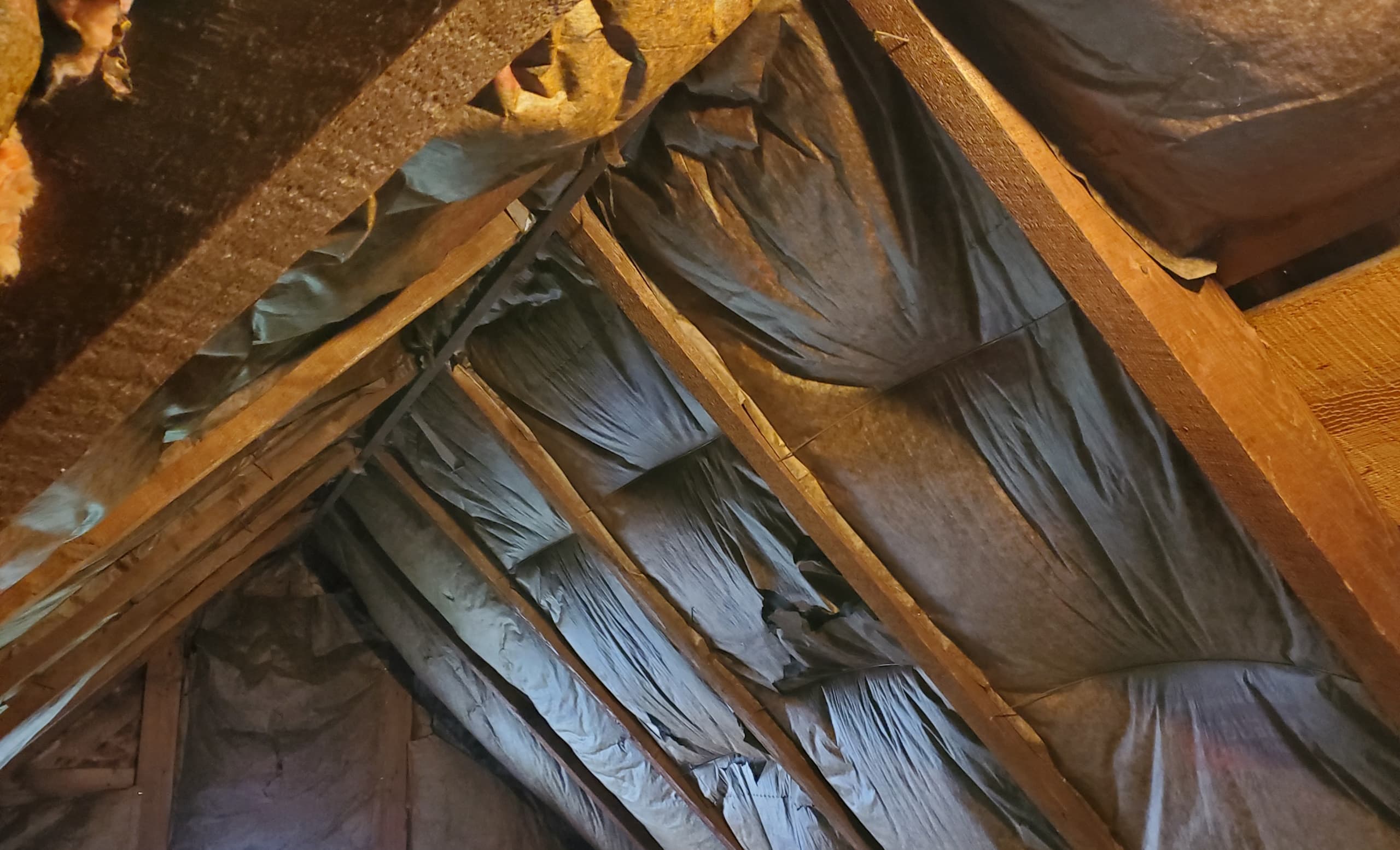 Attic insulation / attic mold / mold in attic