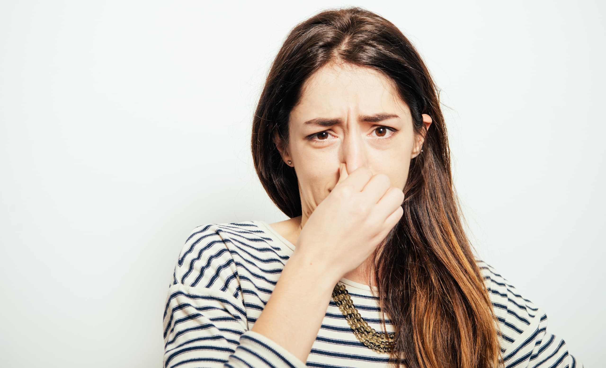 Customer / Odor / Stink / Smells / What Smells / Stinky House / Mold / Tips / Deodorizer