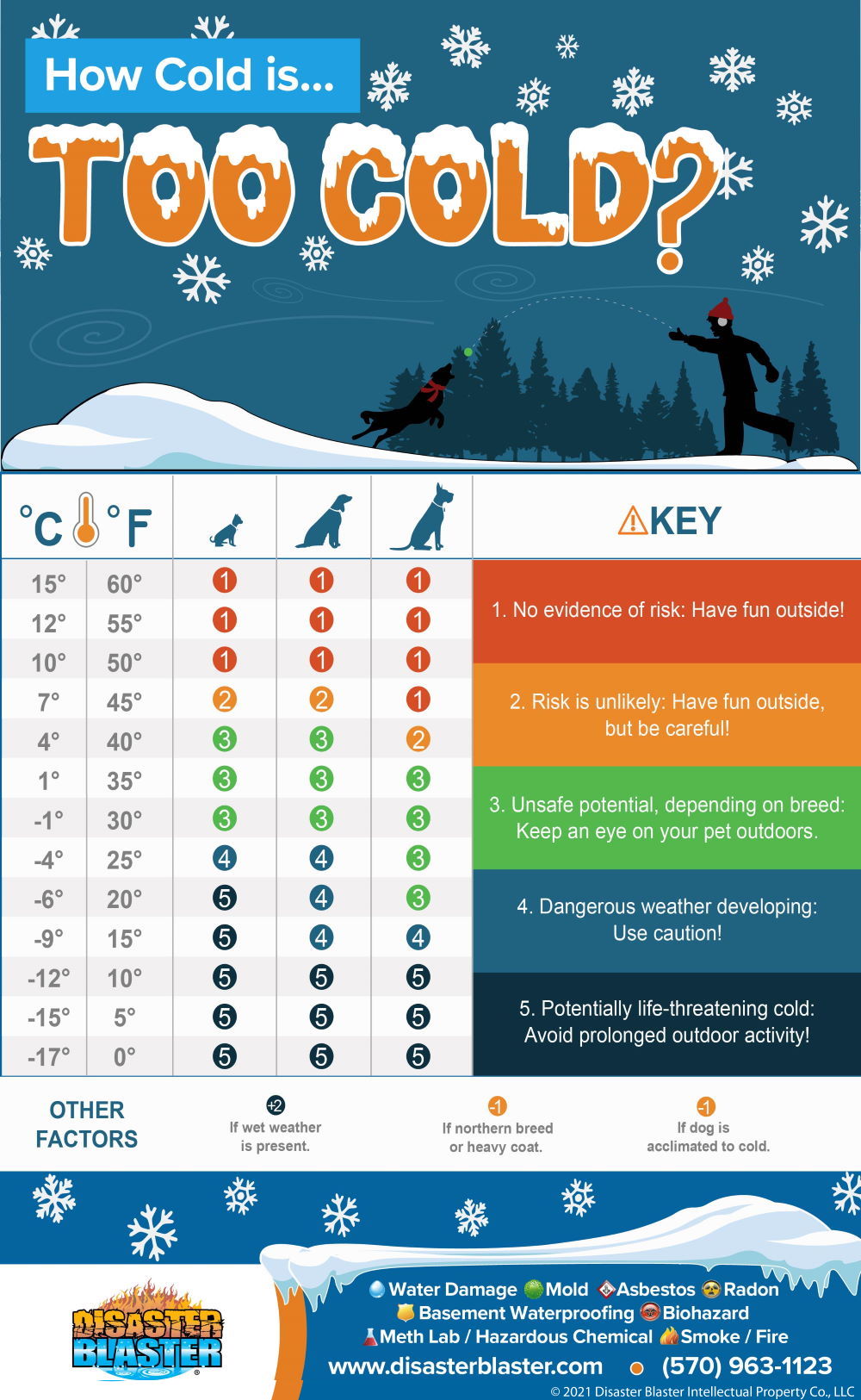 How Cold is Too Cold for your Dog Infographic | Disaster Blaster